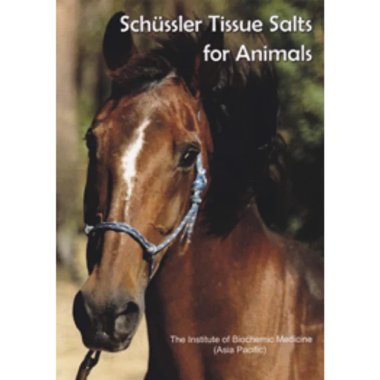 Animal_Book_front_cover Animal_Book_front_cover